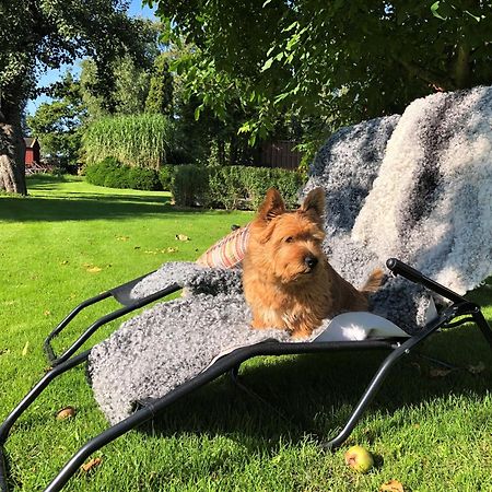 Villa Maria Garden Cottages, ヘルシンボリ エクステリア 写真