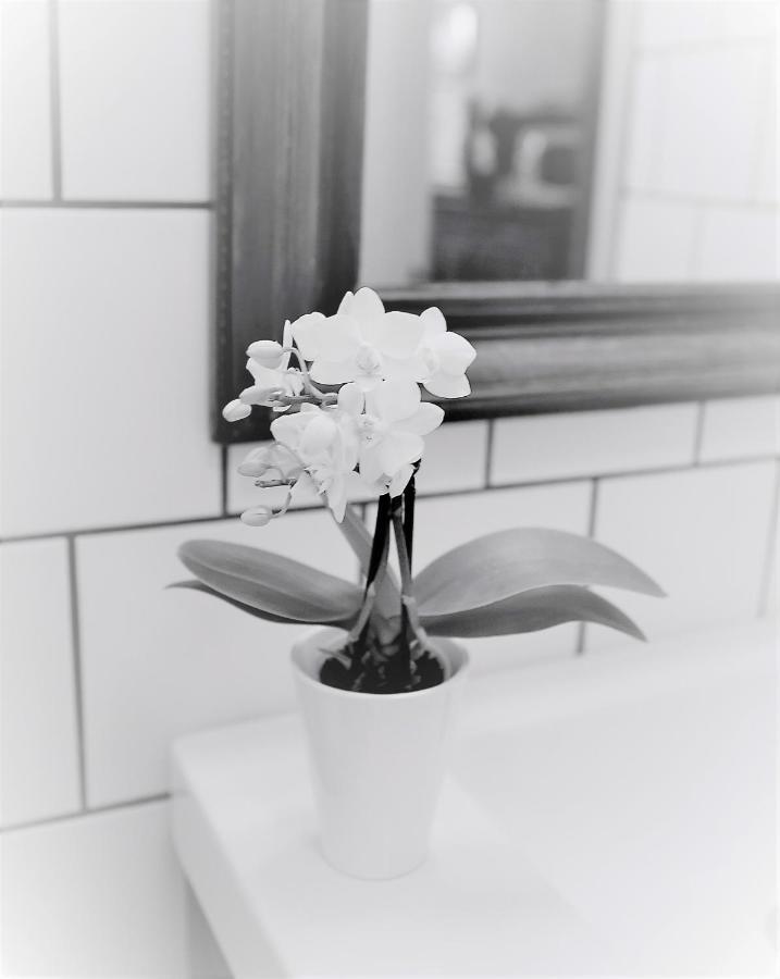Villa Maria Garden Cottages, ヘルシンボリ エクステリア 写真